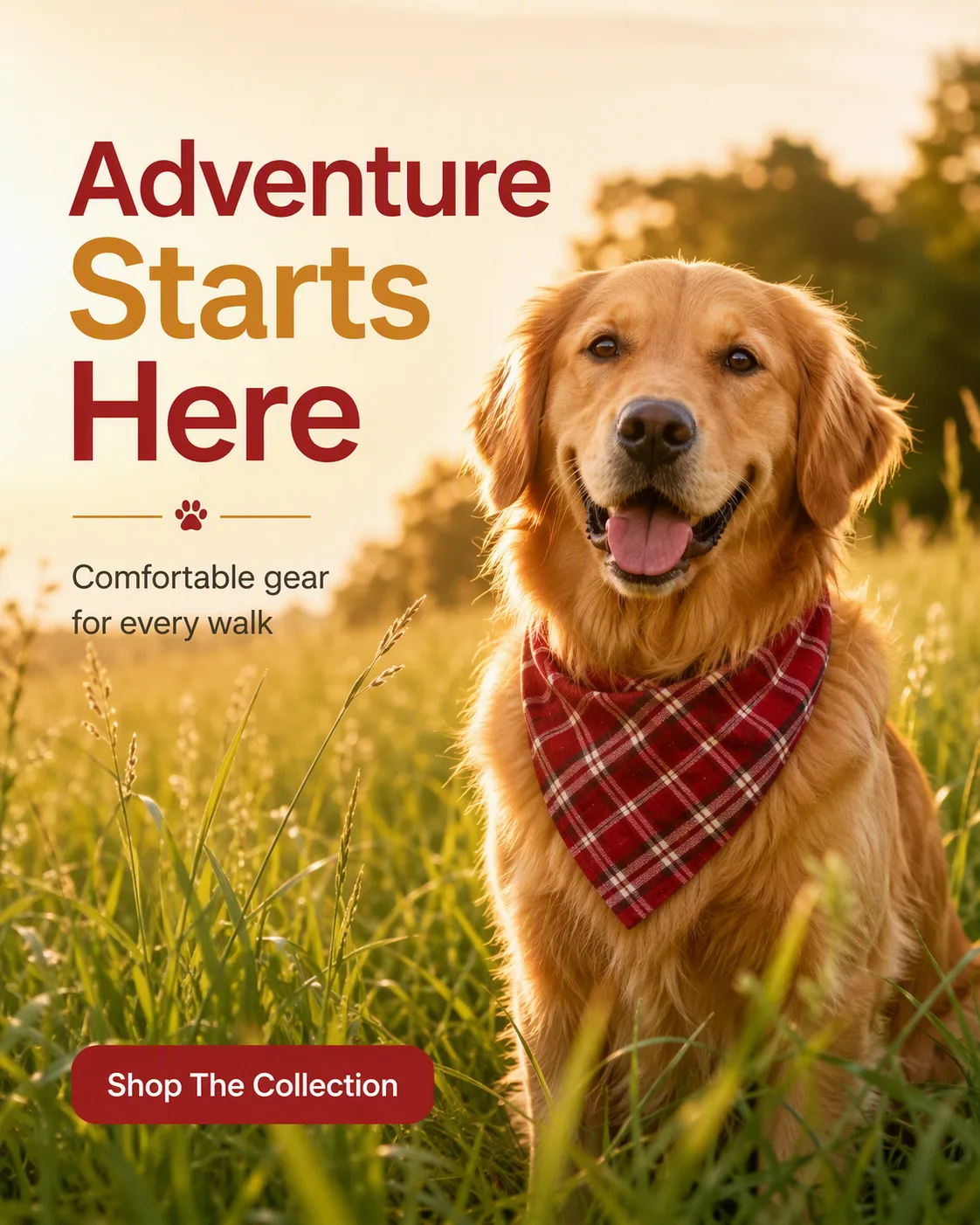Golden Hour Pet Brand Instagram Ad