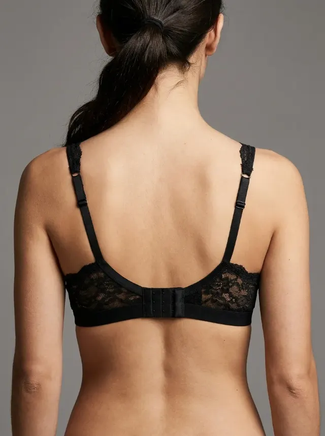 Lace Bra Back Closure Catalog Photo