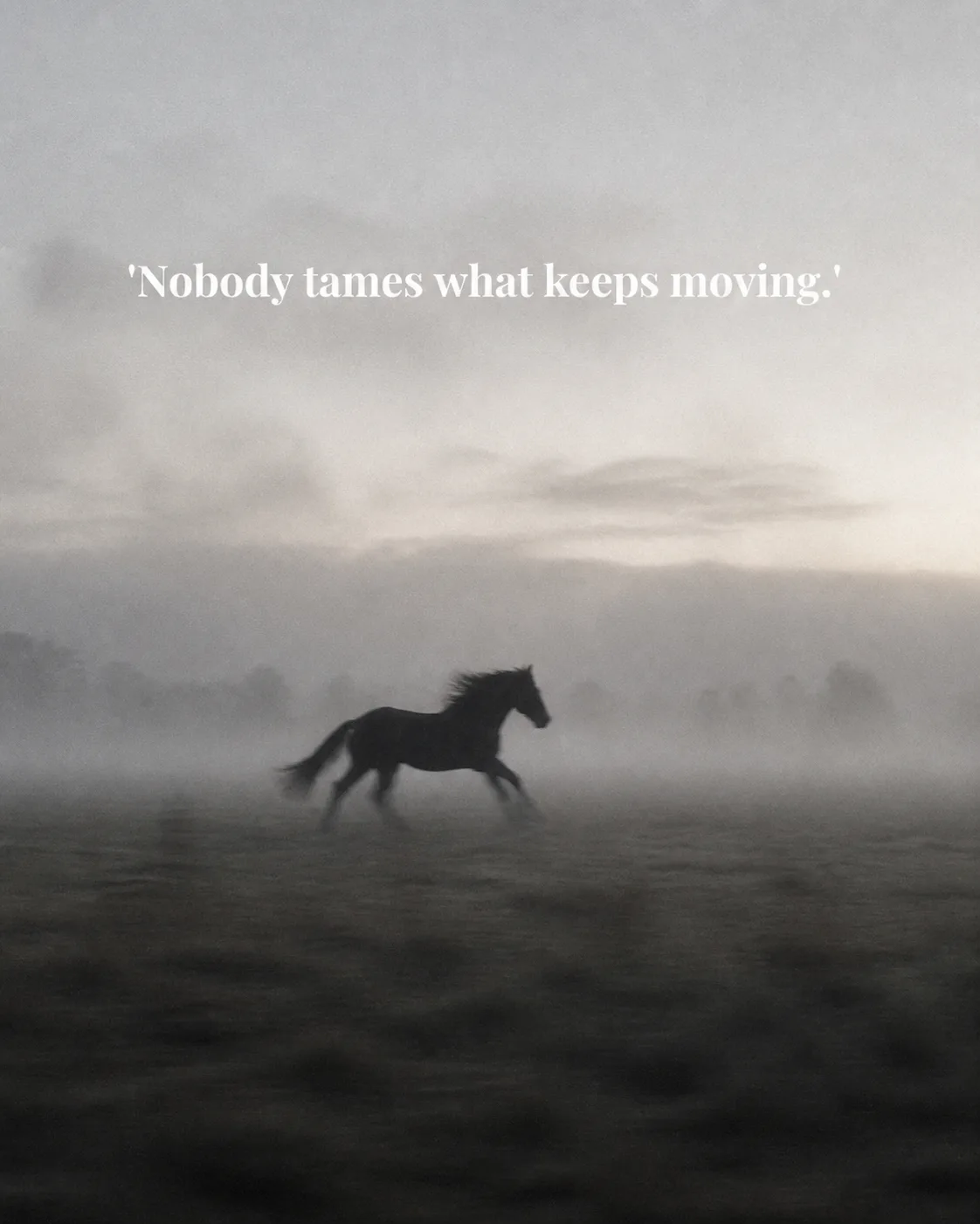 Misty Field Horse Quote Instagram Post