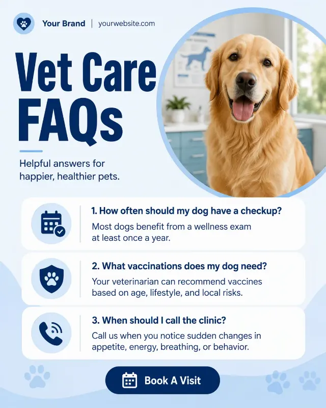 Soft Blue Veterinary FAQ Instagram Post