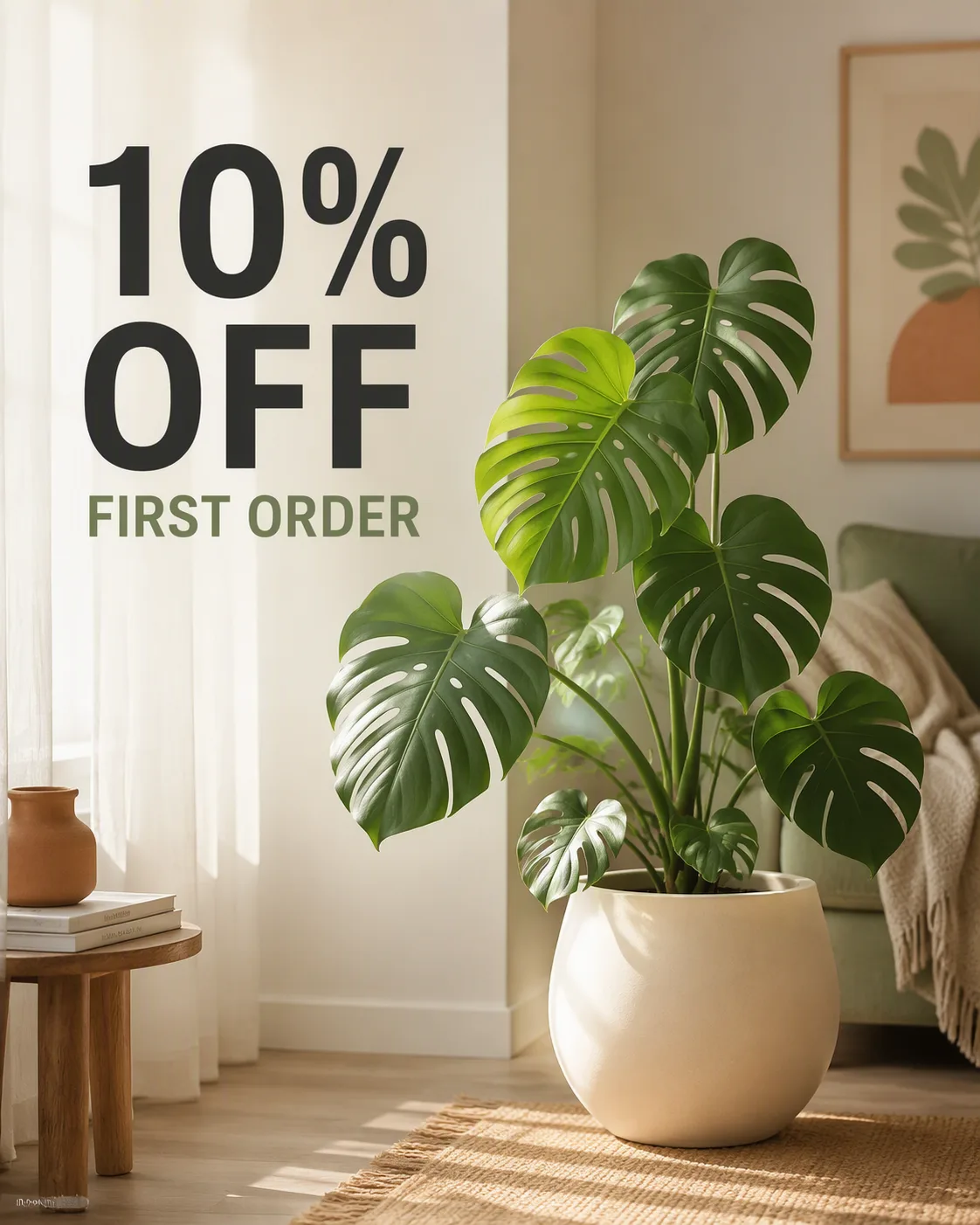 Soft Window Light Plant Home Decor Ad