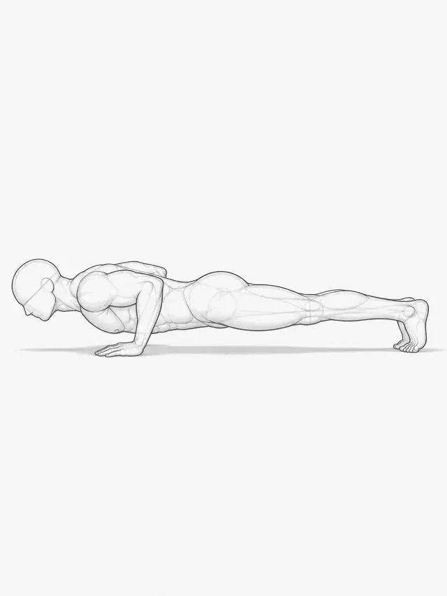 Male Push-Up Pose Reference Sketch