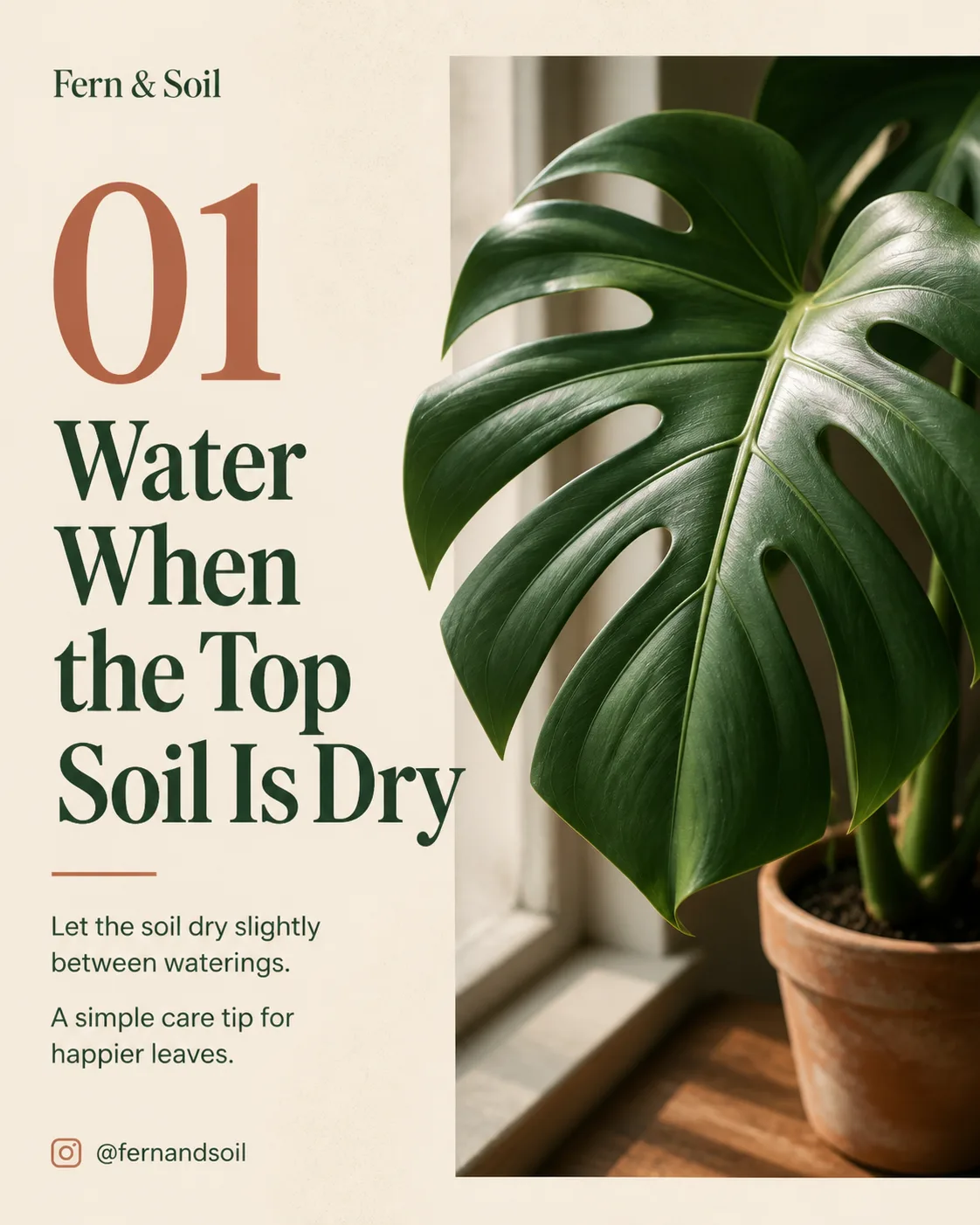 Monstera Care Tip Instagram Carousel Cover