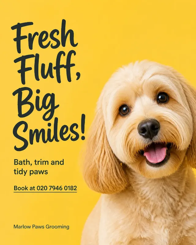 Playful Yellow Dog Grooming Instagram Post